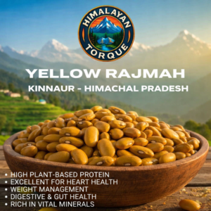 Kinnauri_Yellow_Rajmah