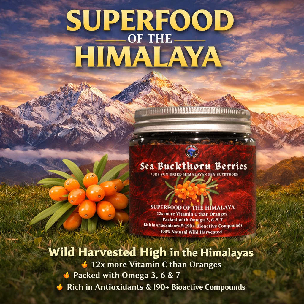 Sea buckthorn Dry Berries