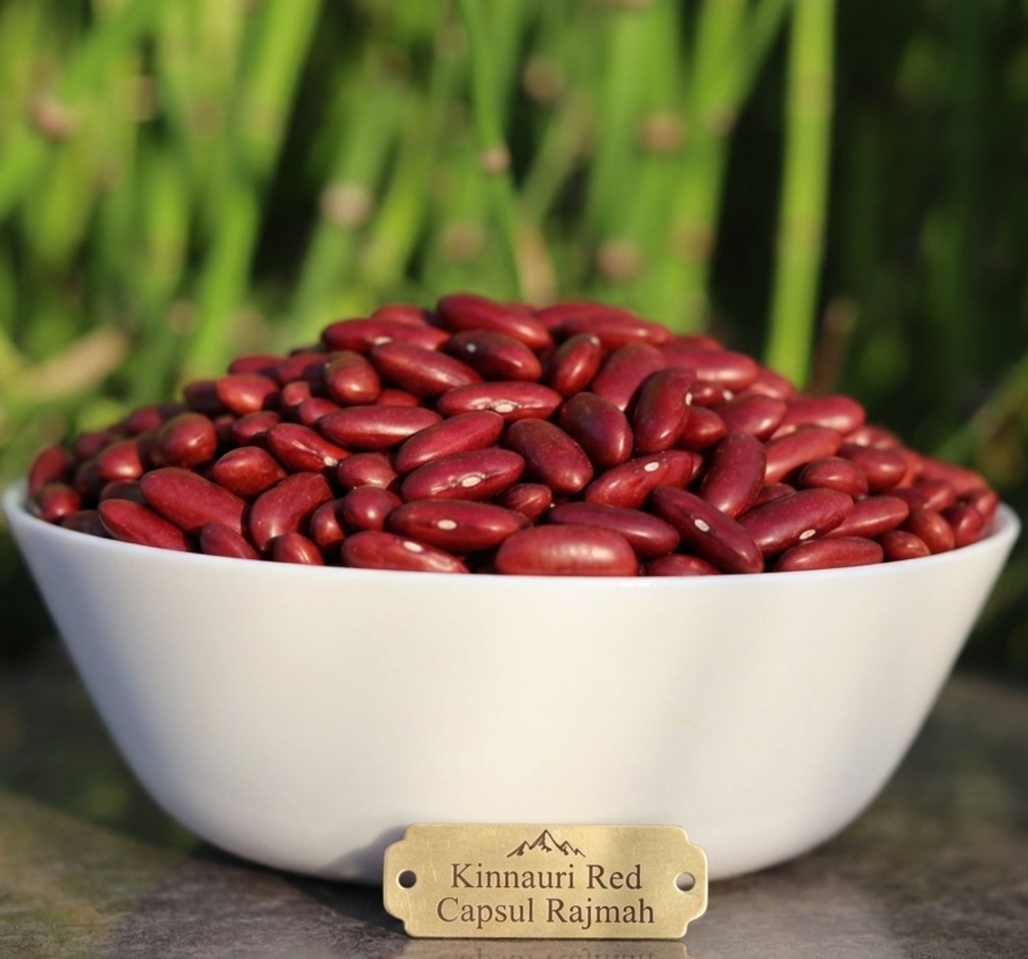Kinnauri Red Rajmah