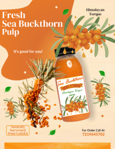 Sea Buckthorn Dry Berries