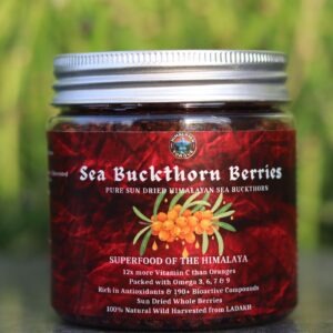 Sea buckthorn Dry Berries