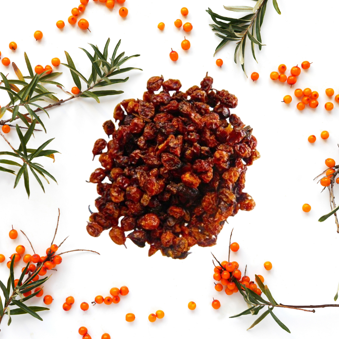 Sea buckthorn Dry Berries - Image 3